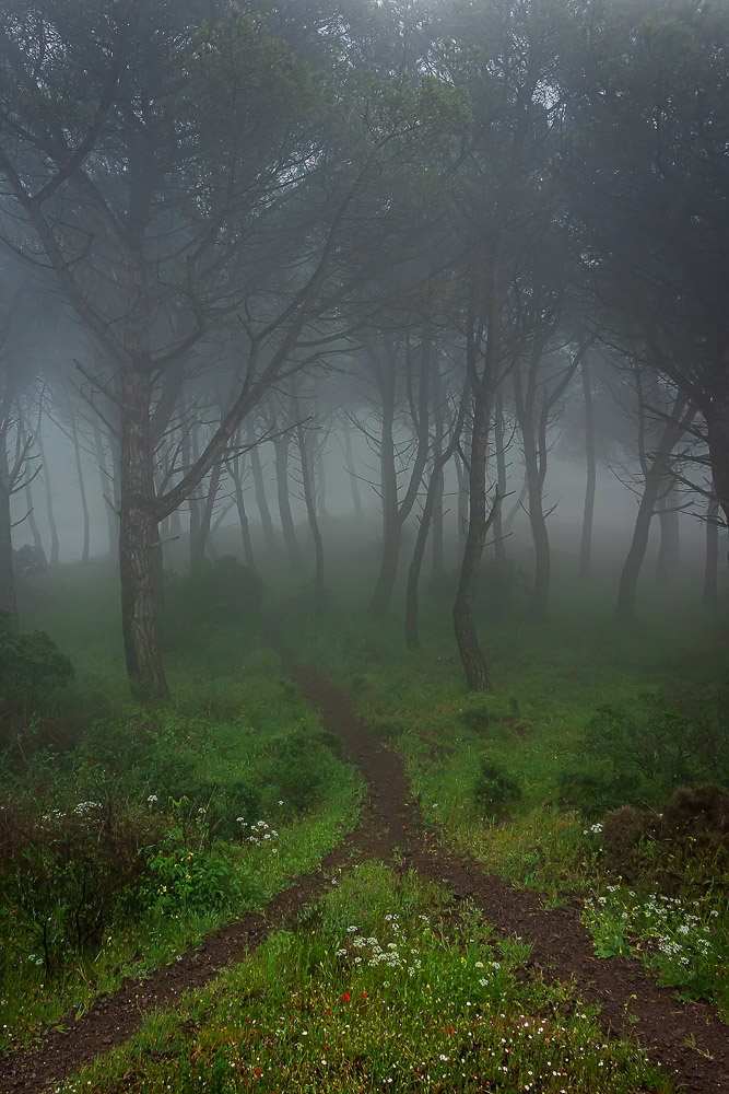 Platz 3 Christoph Lindau